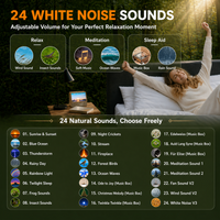 Sunrise Alarm Clock Lamp for Heavy Sleepers with White Noise Machine