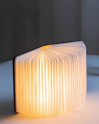 Book-shaped desk lamp