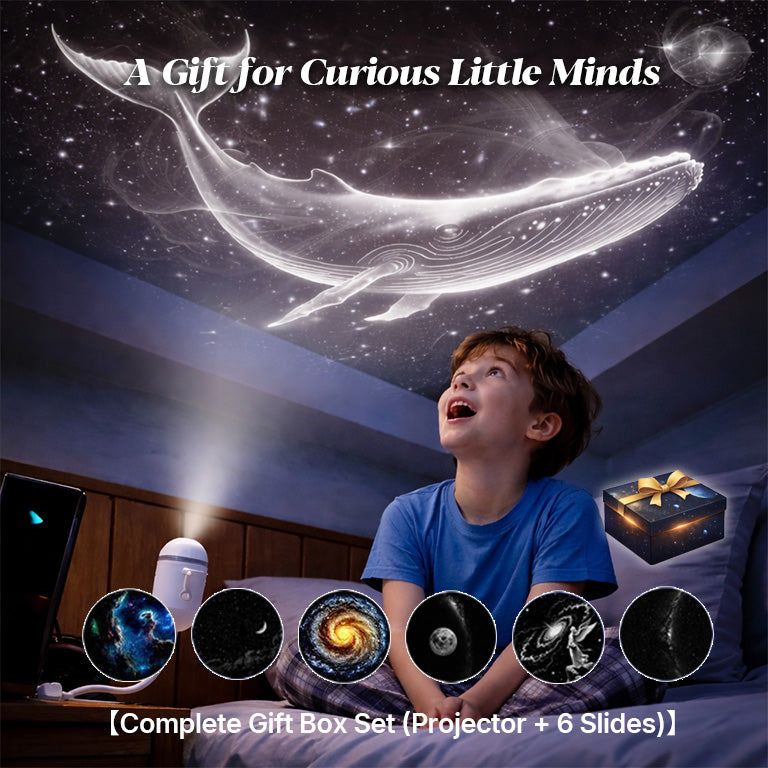 2-in-1 Galaxy Projector Night Light Bundle