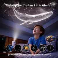 2-in-1 Galaxy Projector Night Light Bundle
