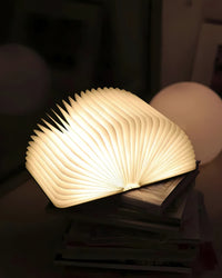 Book-shaped desk lamp