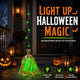 Animated Halloween Witch Broom with Lights, Sound and Motion Decor