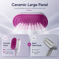 2-in-1 Travel Steamer Iron