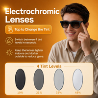Luma All-in-One AI Electrochromic Smart Glasses