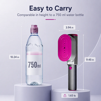 2-in-1 Travel Steamer Iron