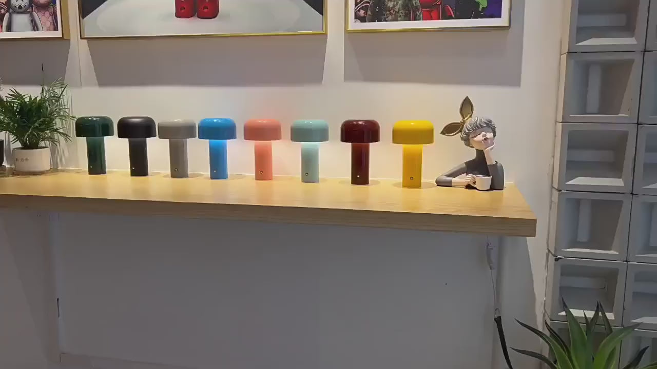 Video laden: 