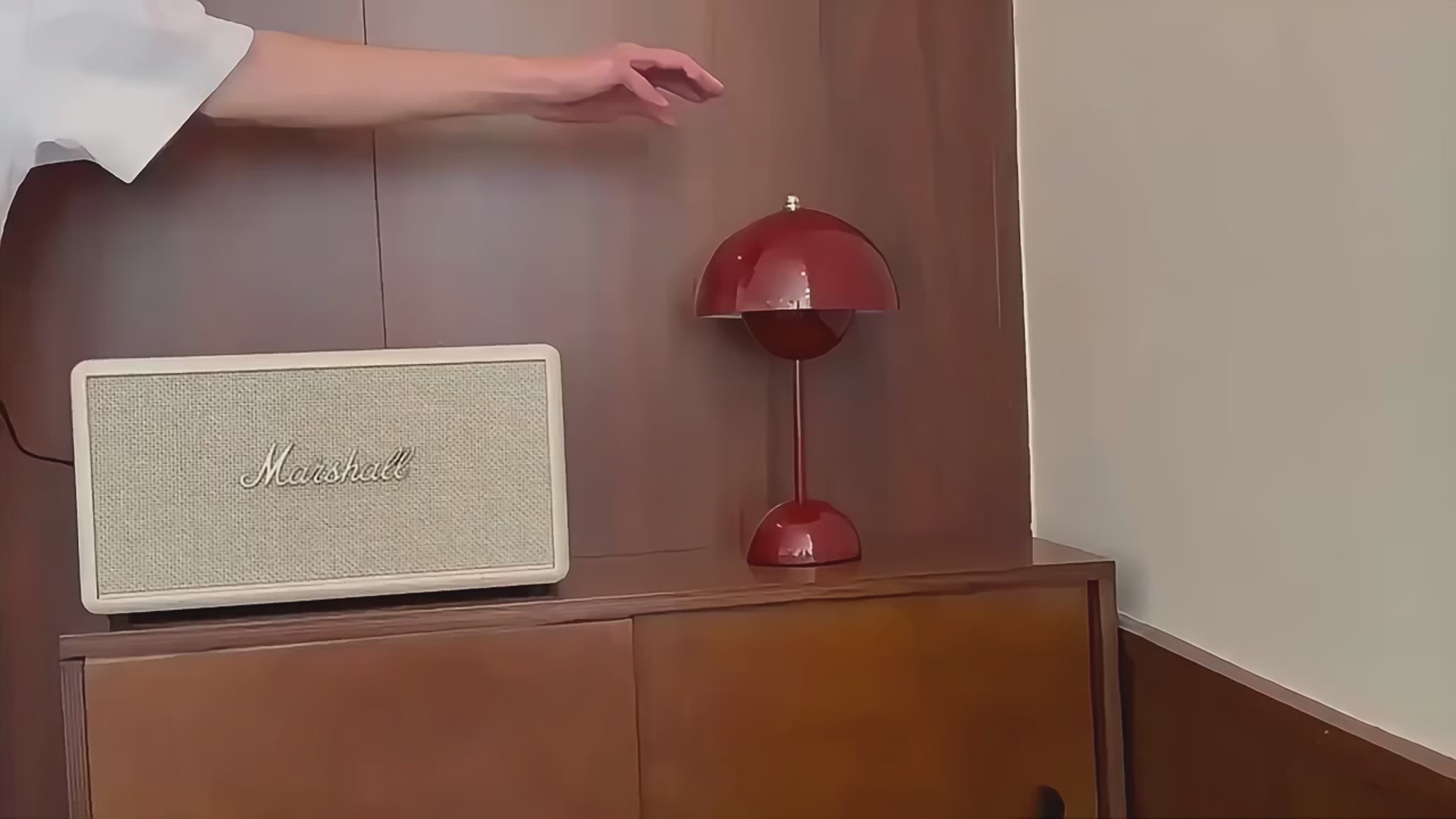 تحميل الفيديو: 
